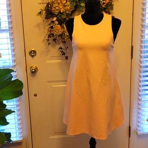 SAGE blush pink super sturdy stretch knit sleeveless a line dress Medium…New